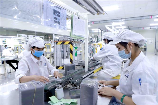 Năm 2021: Doanh nghiệp thành lập mới giảm cả về số lượng, số vốn và quy mô lao động